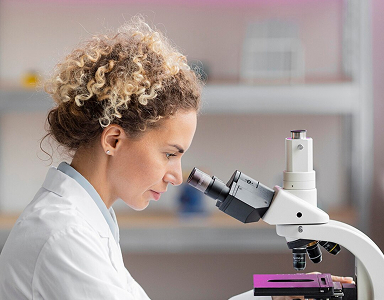 Challenges and Opportunities in Brazil’s Generic Drug Market